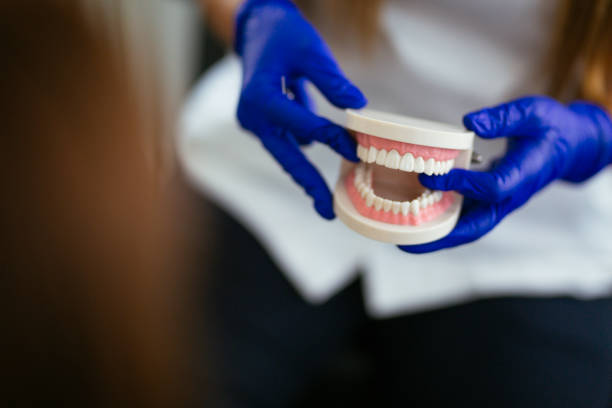 Best General Dentistry  in Bliss Corner, MA